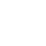 colibri icon