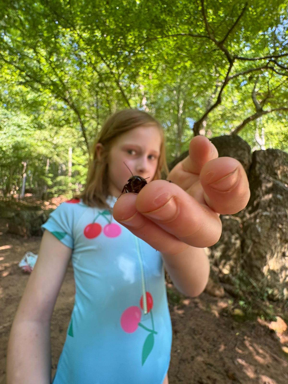 IMG-20250624-WA0009 (1)