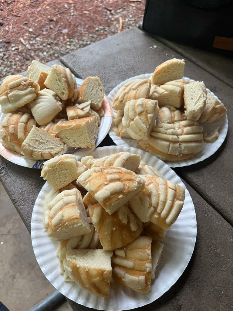 IMG-20250702-WA0046 (1)