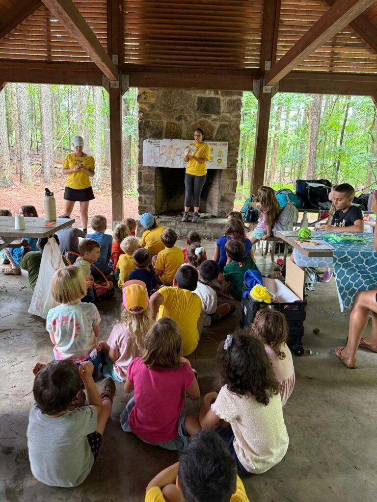 IMG-20250702-WA0218 (1)